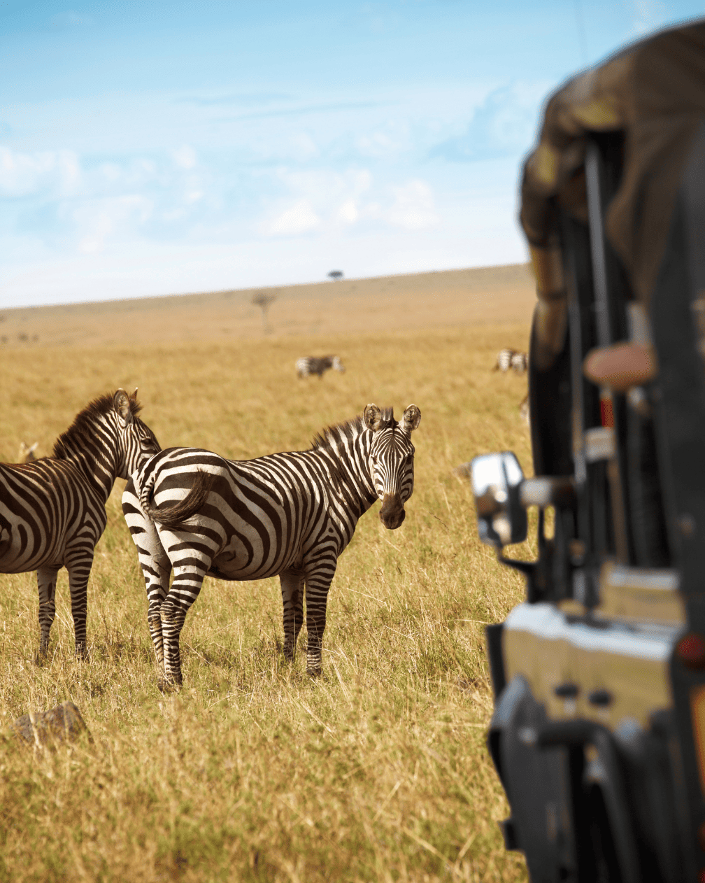 About Mbugani Luxe Adventures