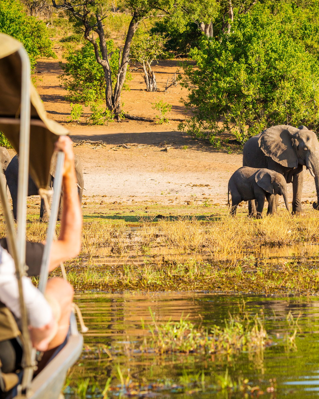 Mbugani Luxe Adventures